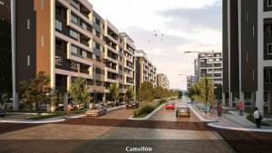 living san nicolas camellon carza