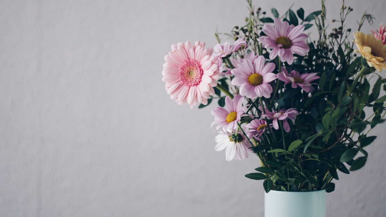 Decoración de primavera para tu hogar: qué flores disfrutar durante la temporada